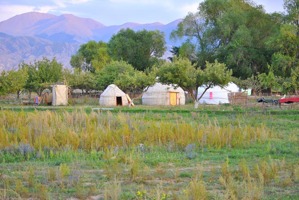 Jurten Camp Almaluu Tong Εξωτερικό φωτογραφία